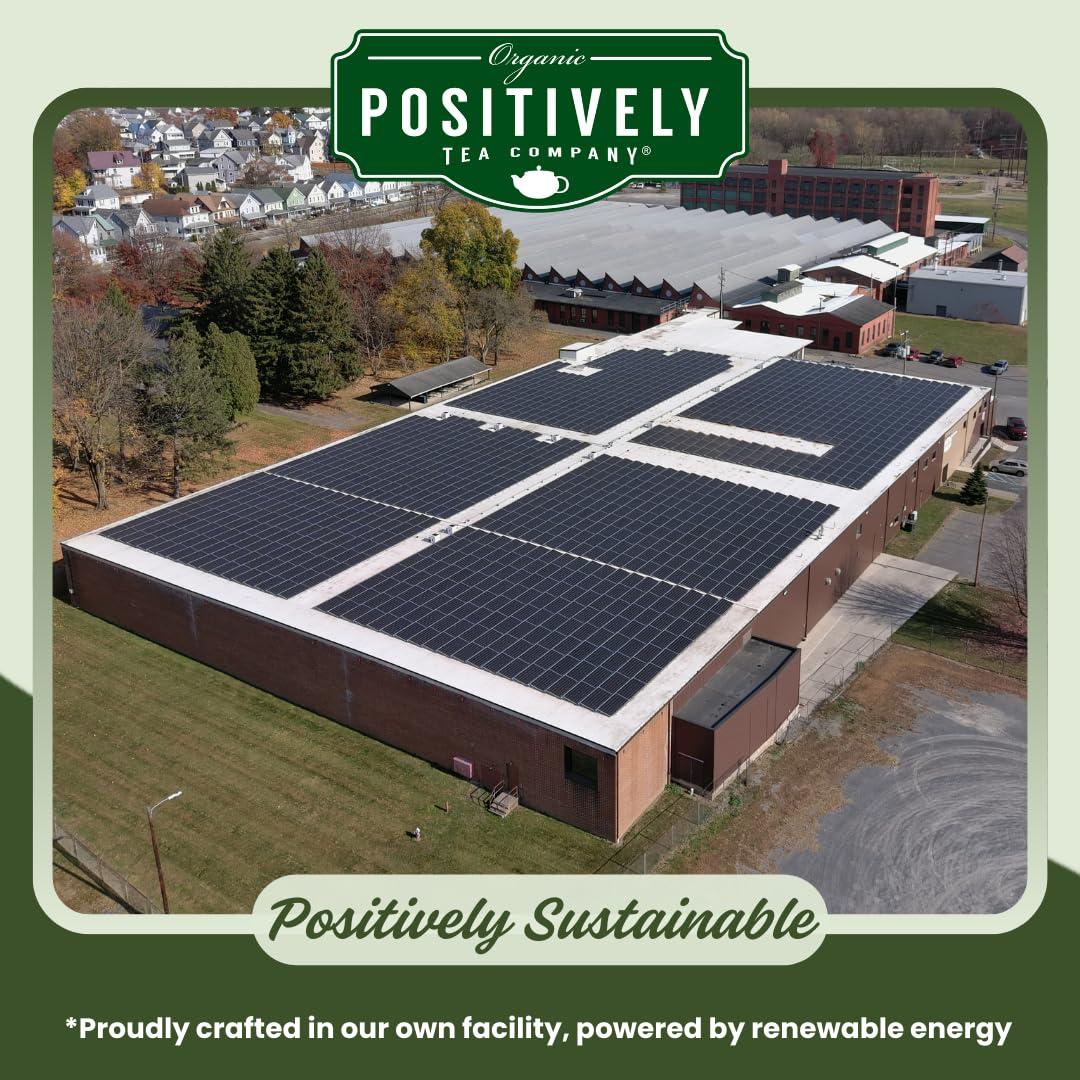 Organic Positively Tea Company Organic Positively Tea Company, Strawberries and Cream, Green Tea, Loose Leaf, 4 Ounce