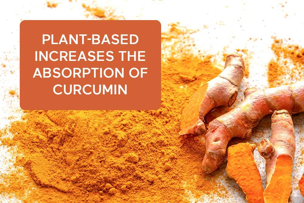 SMARTERNUTRITION SMARTERNUTRITION Curcumin + Enzymes