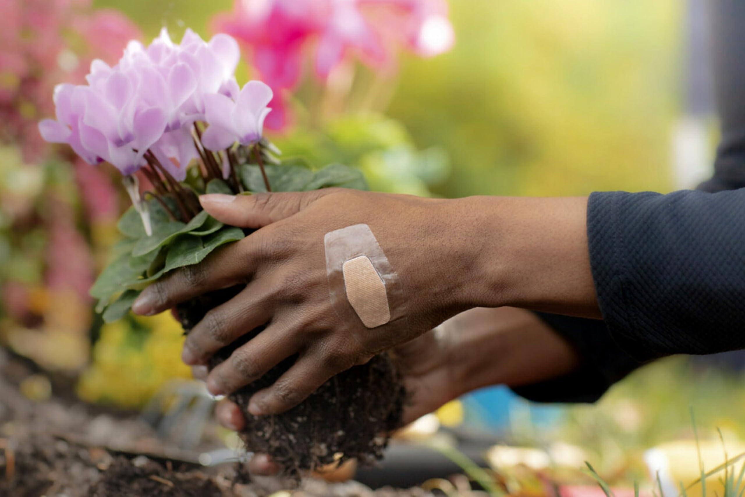 Nexcare Nexcare Waterproof Bandages, Stays on in the Pool, Holds for 12 Hours, Clear Bandages for Fingers and Elbows - 100 Pack Waterproof Bandages