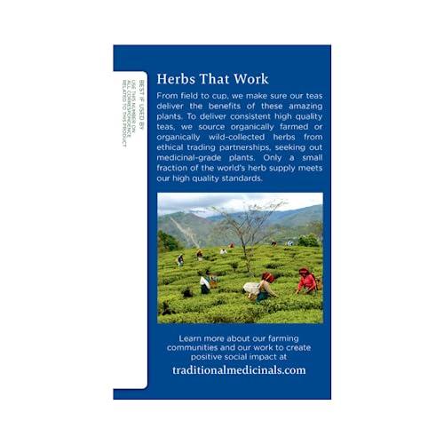 Traditional Medicinals Traditional Medicinals Organic Fair Trade Certified Nighty Night Herbal Tea 16 Count (Pack of 6)