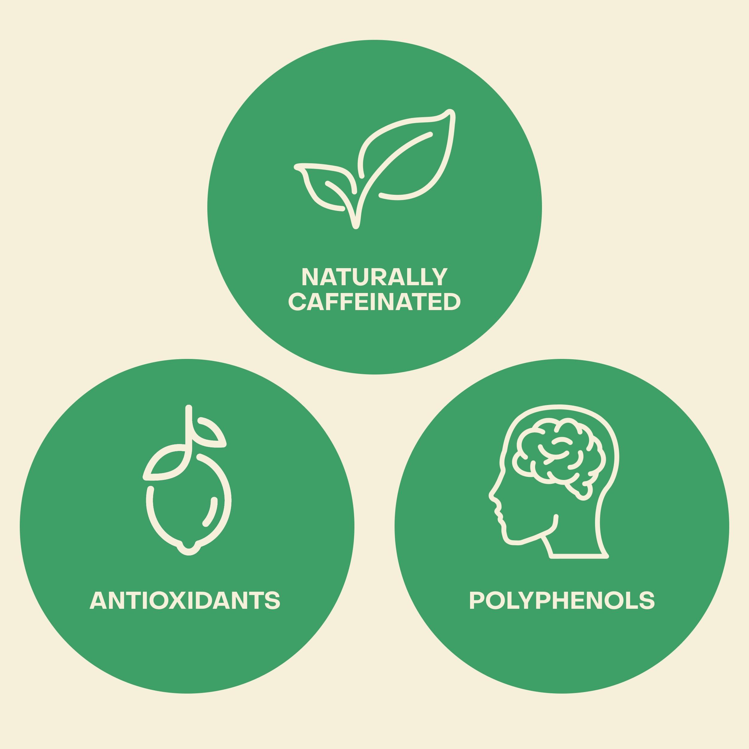 Saint James Iced Tea Saint James Iced Tea - Organic Green Tea - Non GMO, Gluten Free, Low Calorie & Low Sugar - Original Green Tea, 12 Pack (16.9 fl oz each)