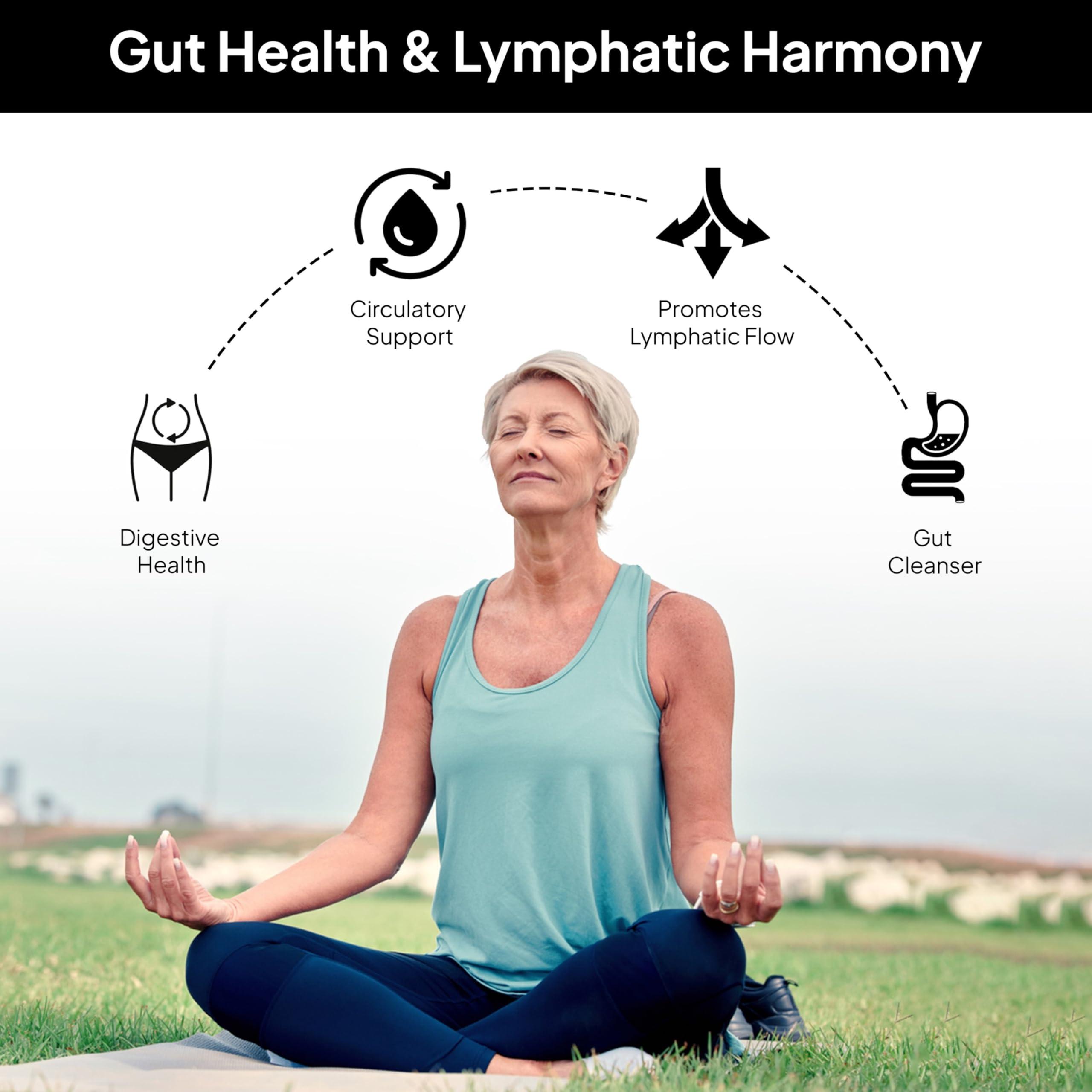 Doctor Morse\'s Doctor Morse\'s Heal All Tea - Loose Blend Herbal Tea - Vegan & Caffeine Free - Full Body Detox - Naturopath Formulated - Burdock Root, Dandelion Leaf, Black Walnut Hull - 7oz, 86 Servings