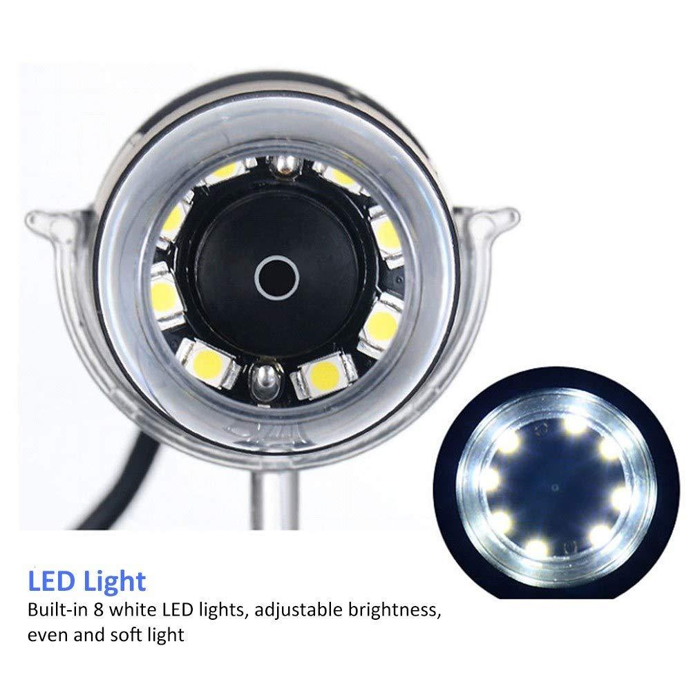 GOLDEN BLUE Handheld USB Digital Microscope 500X 2MP Electronic Endoscope Adjustable 8 LED Magnifier Camera with Stand