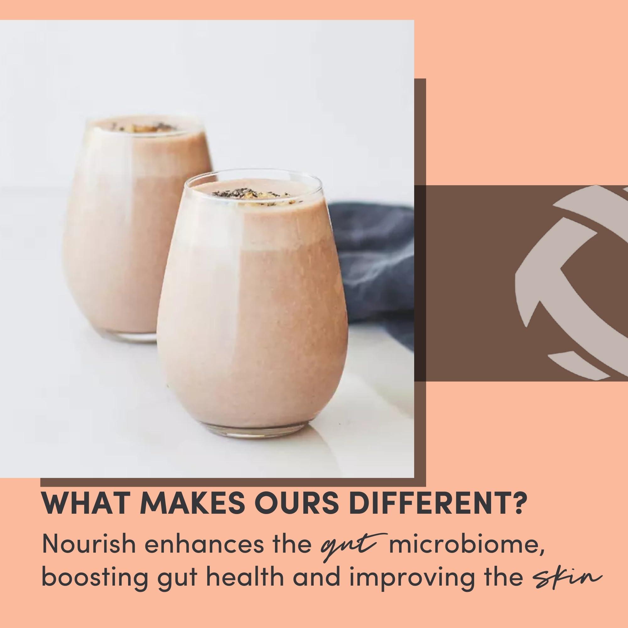 Tranont Tranont Nourish GOS Prebiotic Meal Replacement Shake | Brownie Batter Flavor | 14.3 oz | Supports Gut Health & Skin Care | Packed with Vitamins & Minerals | Vegan | Protein Powder | Vitamin C and B