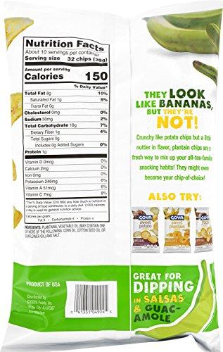 Goya Goya Foods Plantain Chips, 10 Ounce (Pack of 10)