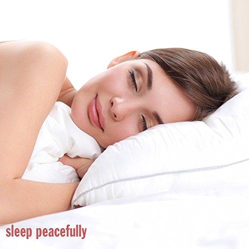 Mack's Mack\'s Ultra Soft Foam Earplugs, 50 Pair - 33dB Highest NRR, Comfortable Ear Plugs for Sleeping, Snoring, Travel, Concerts, Studying, Loud Noise, Work | Made in USA