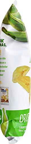 Goya Goya Foods Plantain Chips, 10 Ounce (Pack of 10)
