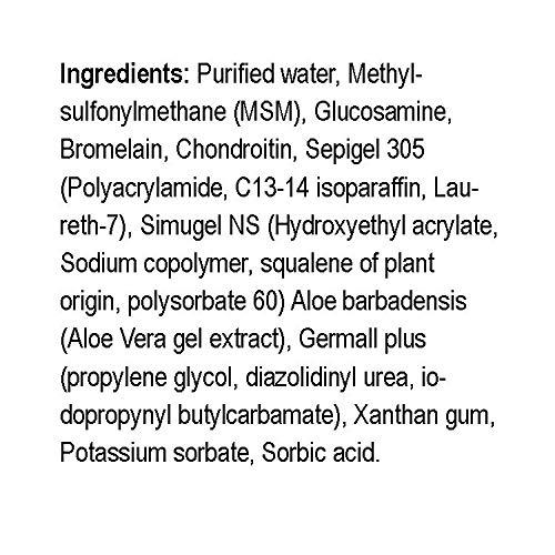 Natural Radiance Natural Radiance MSM Plus - Glucosamine Bromelain and Chrondroitin 8 oz. Bottle - Oderless