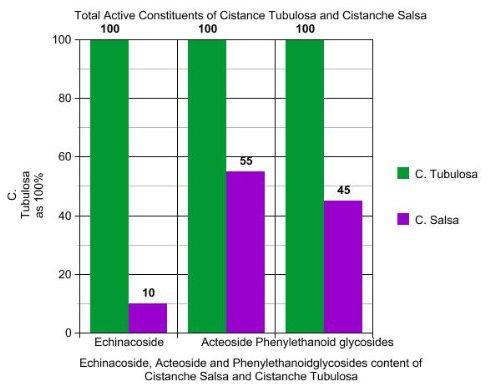 Nature's Way Natures Way Chlorofresh Liquid Chlorophyll 16 ozs (Mint Flavor)