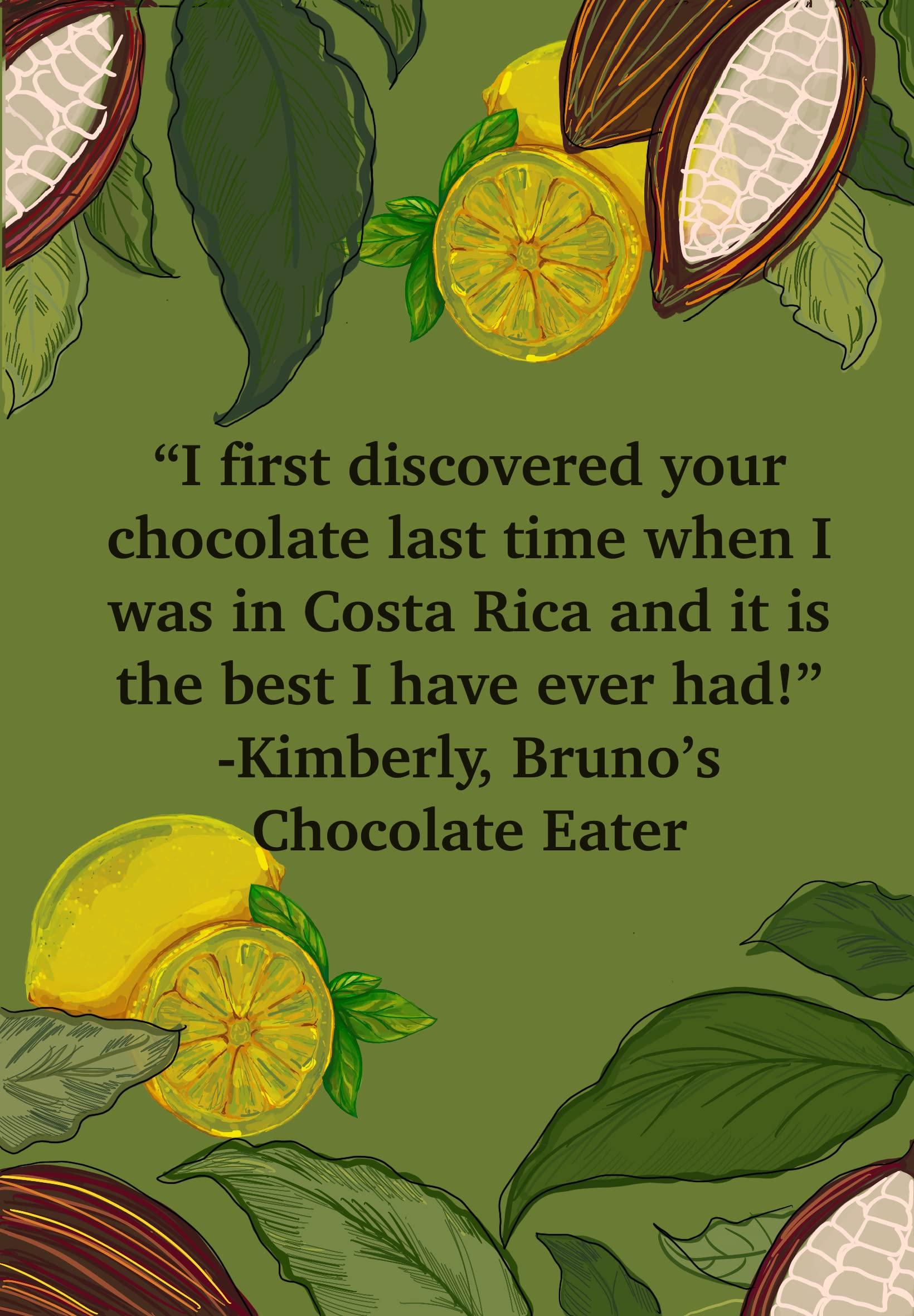 BRUNO'S CHOCOLATES Kakoart Bruno's Chocolate | Chocolate Bars with flavors, 1.75oz/50g, 7 pack | Organic Single Origin Trinitarian Cacao from Costa Rica, certified by the USDA, Gluten free, Vegan (70% Lemon)