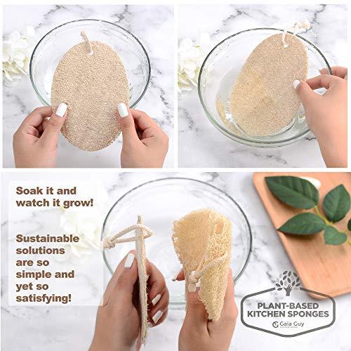 Gaia Guy Zero Waste Kitchen and Bath Set - Wood Handled Brushes with Natural Bristles and Loofah Sponges