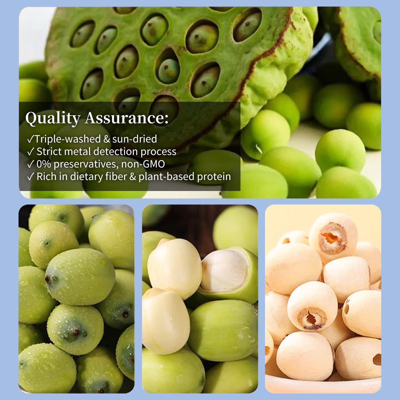 DOZO DOZO Natural Dried Lotus Seeds 17.6oz/500g Lotus Seed for Eating Core Removal Dermabrasion Premium Lotus Seed BakingTea