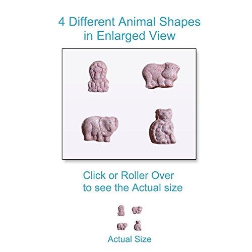 Nutripia Kidmune Children Immune Booster, Kids Immune Support 180 Chewable Mini Tabs - Elderberry, Colostrum, Propolis, Beta Glucan, Astragalus, Vitamin C, D, Zinc,Natural Flavor, 4 Animal Shapes