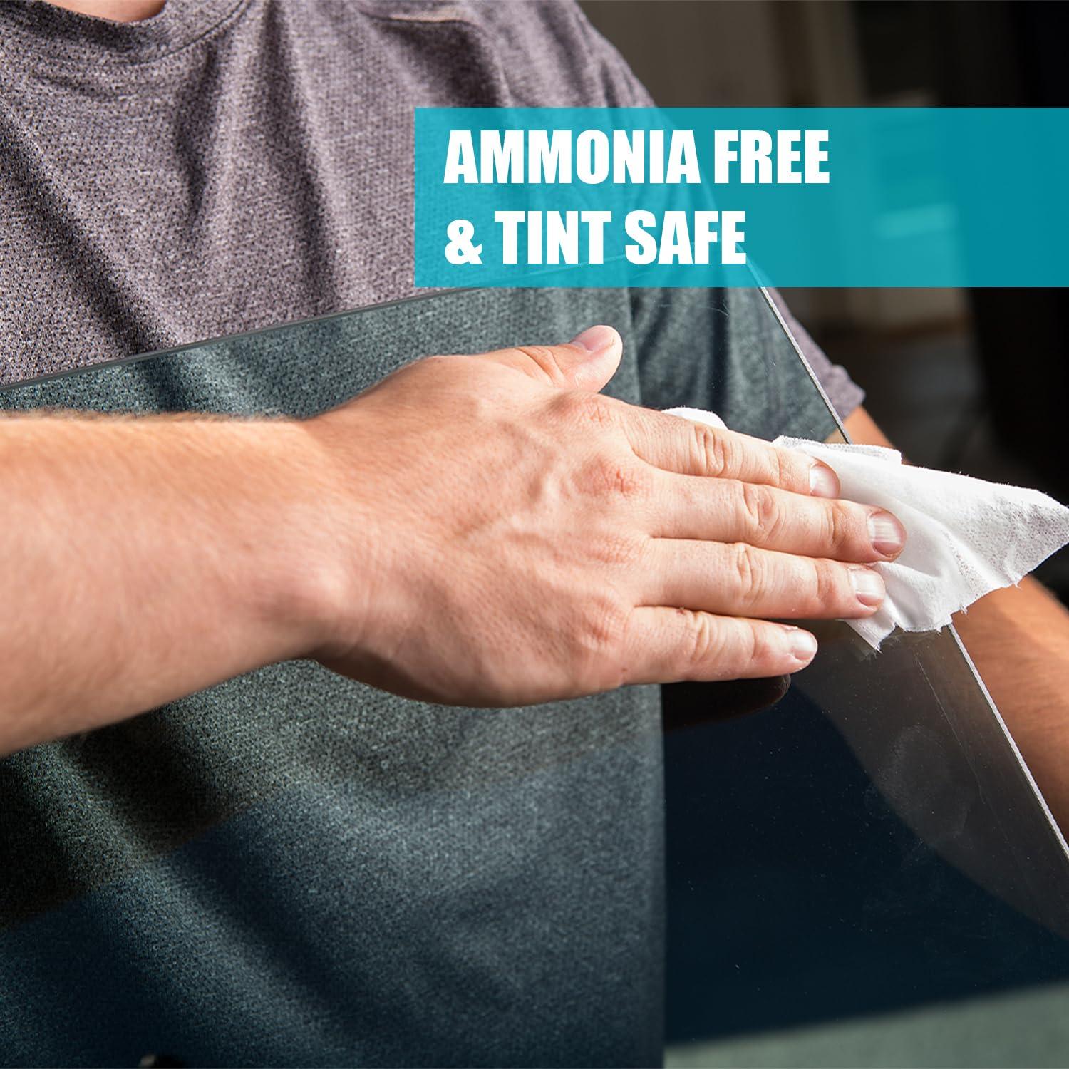 Satya Naturals Giloy Forte Capsules 500 mg. 60 Veg. Capsule | Guduchi (Tinospora Cordifolia) Extract Capsules for Men and women | Indian Ayurvedic Herbal Supplement/Remedies (2 Bottles of 60 Capsules)