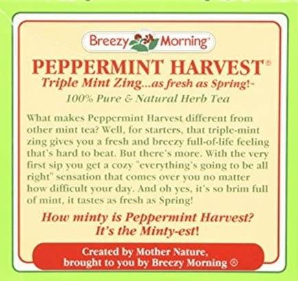 BREEZY MORNING BREEZY MORNING PEPPERMINT TEA 2PK (40 BAGS)