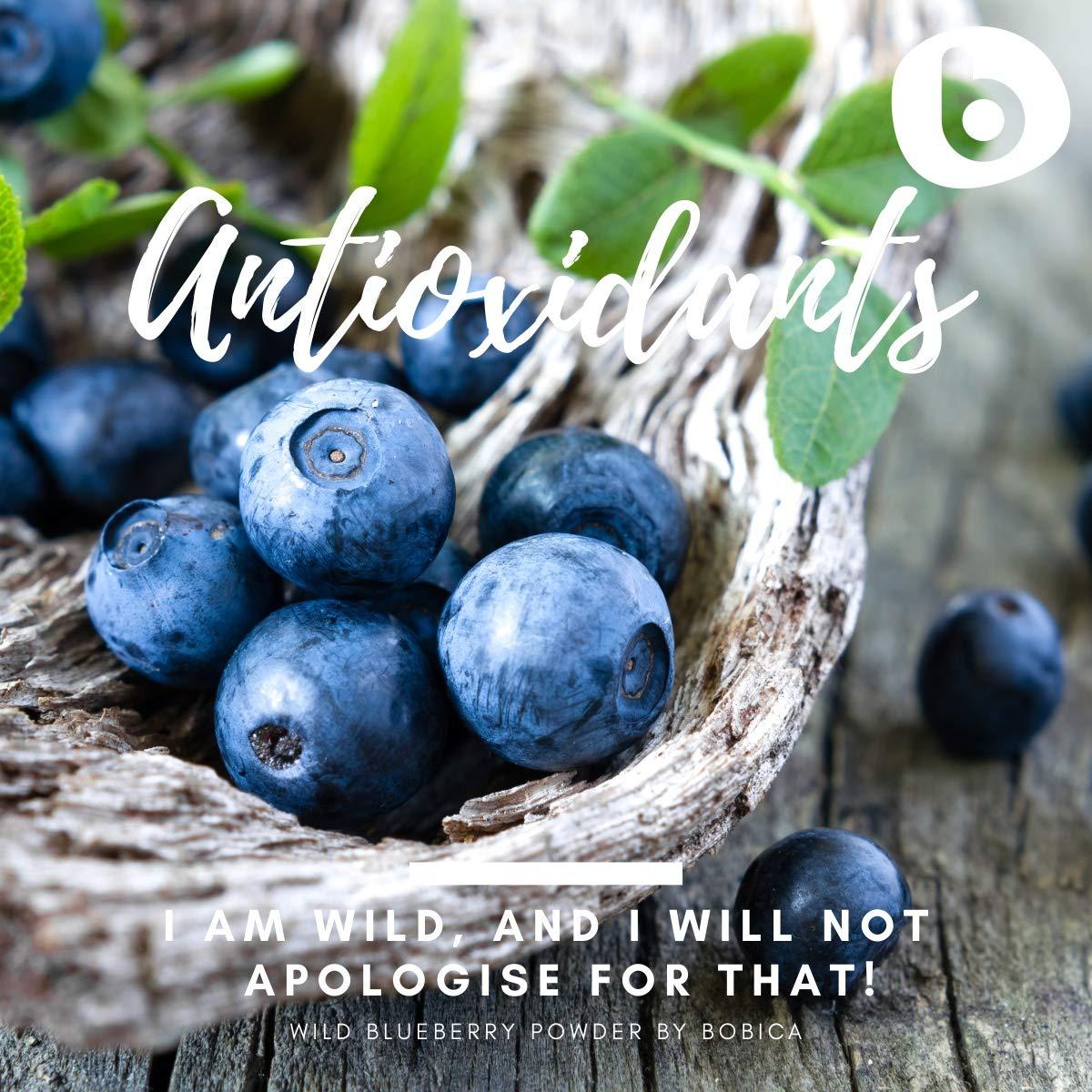 b Organic Wild Blueberry Powder from Freeze Dried Wild Blueberries, Bilberries, Antioxidant Superfood, for Smoothies, Baking and Flavoring, 2.65oz