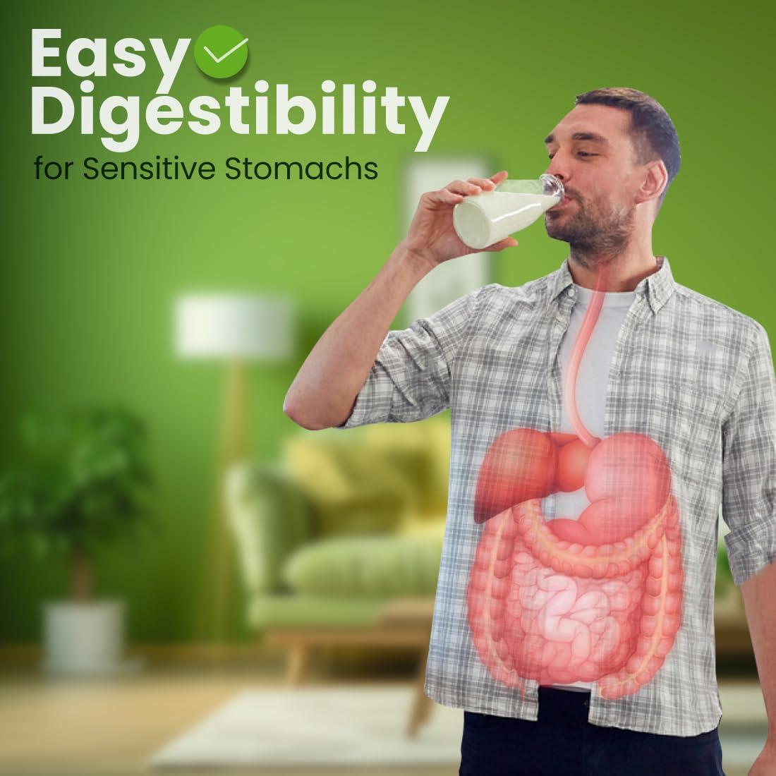 Z Natural Foods Z Natural Foods Goat Milk Powder - Pure Netherlands Full Cream Milk, Powdered Goat Milk, Highly Nutritious, Easy Digestion - Whole Goats Milk for Adults for Smoothies, Cooking, Baking, 5 lbs