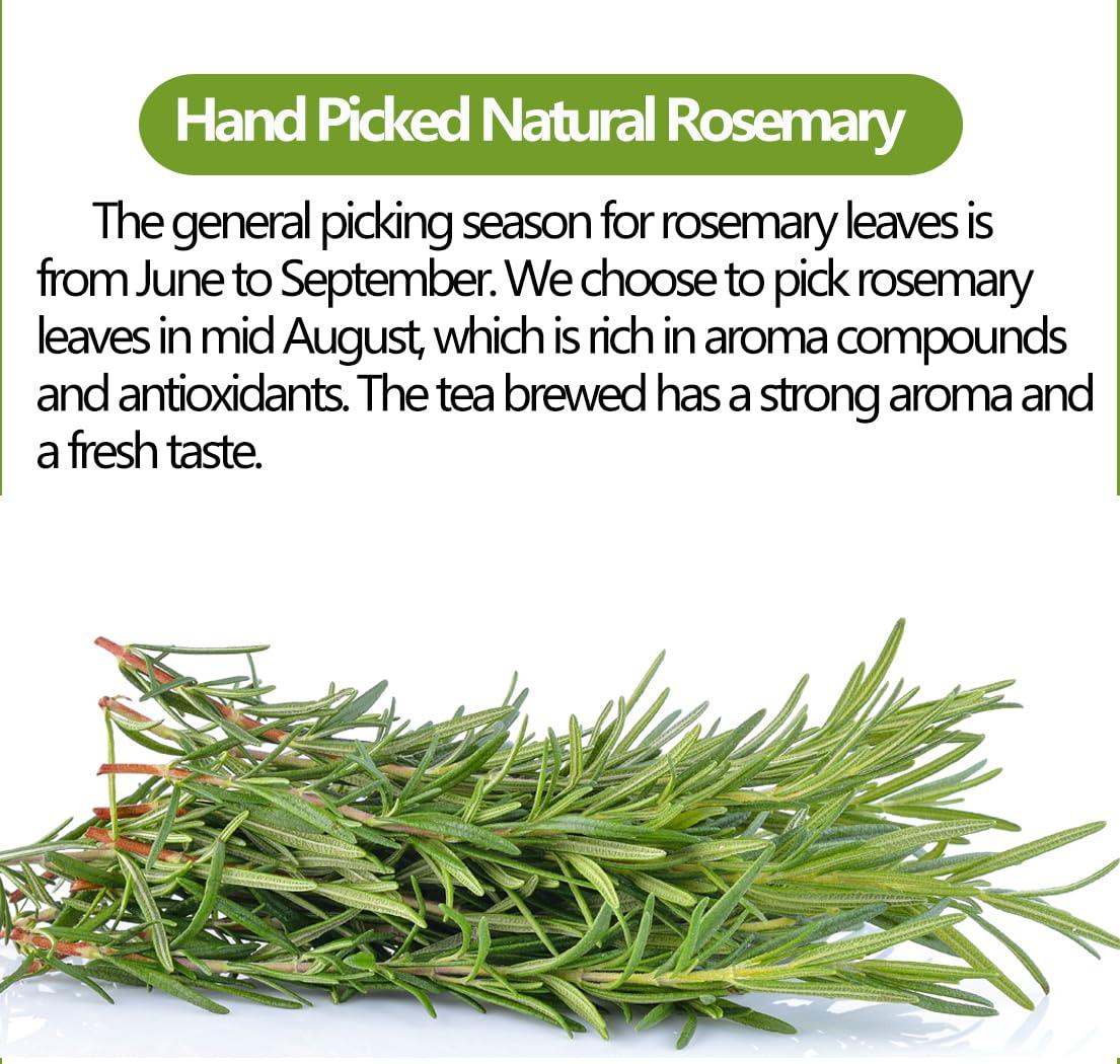 ULTHMOK Premium Rosemary Tea Bags, 100 Teabags. Made with 100% Pure Natural Rosemary Leaves,No Additives & Caffeine Free.
