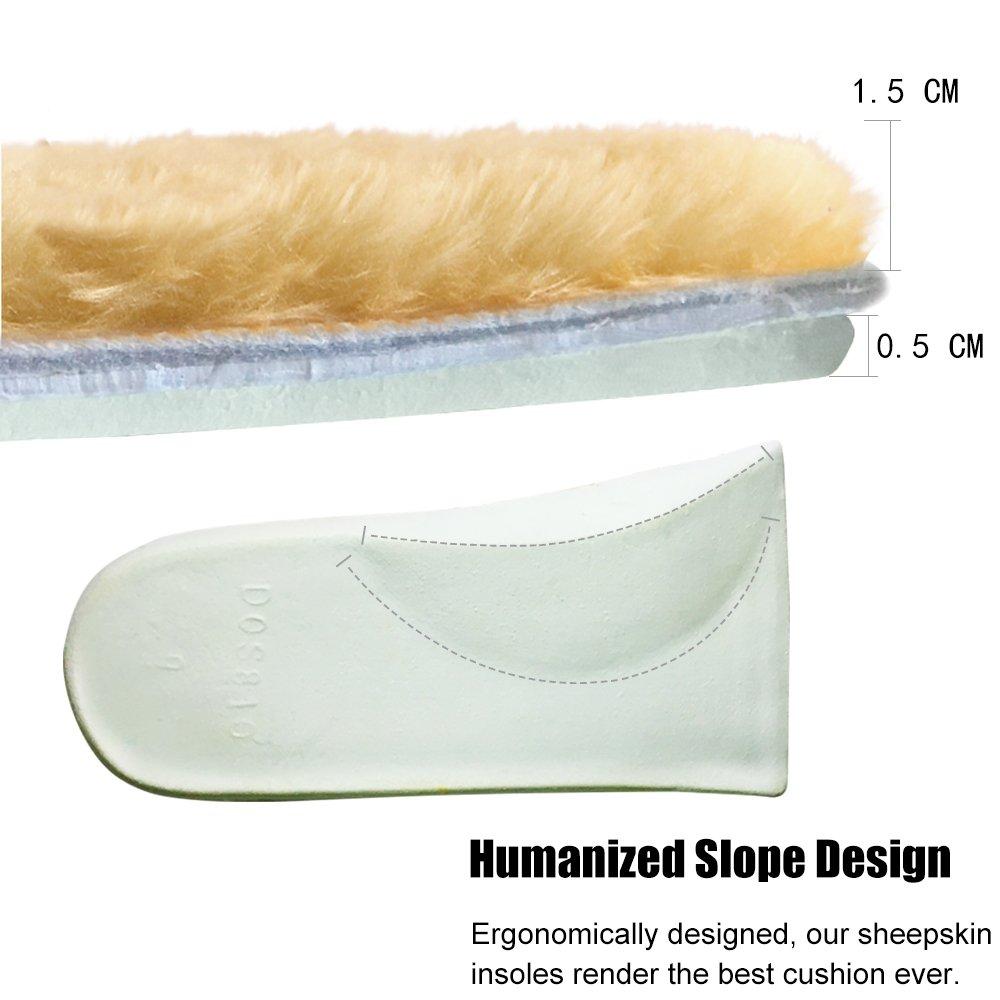 Equal Exchange Equal Exchange Organic Coffee Love Buzz 10 oz. packd Whole Bean