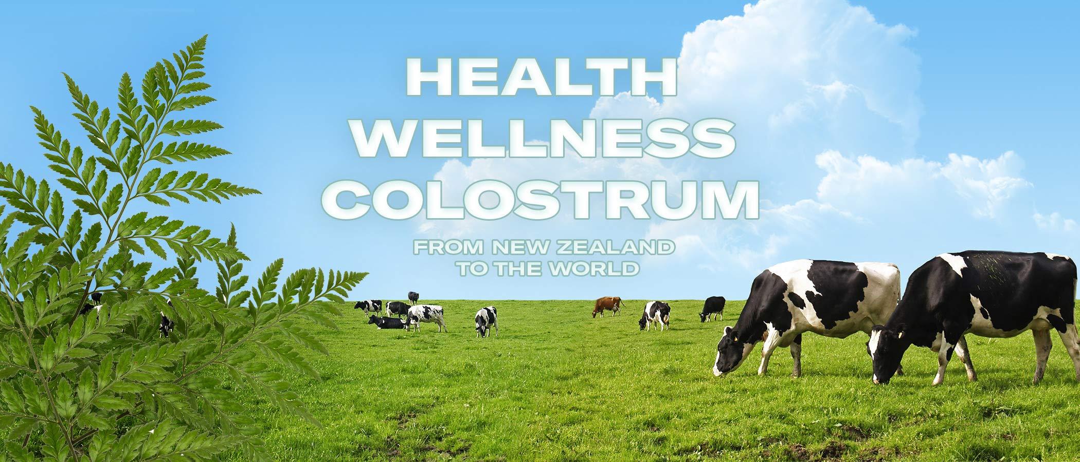 Alpha Lipid Alpha Lipid Lifeline 450g