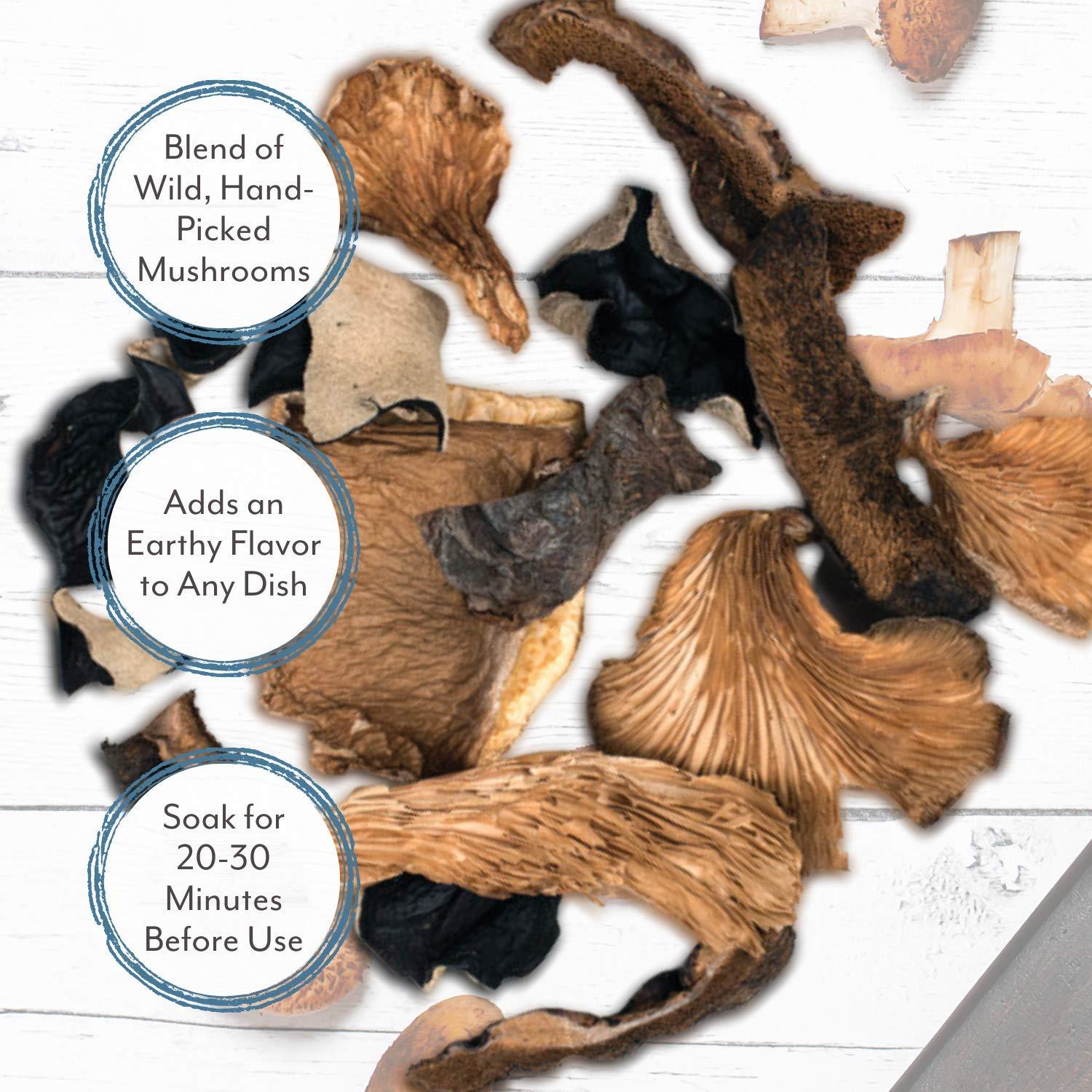 Roland Roland Foods Dried Mixed Wild Mushrooms Specialty Imported Food ,16 Ounce (Pack of 1)