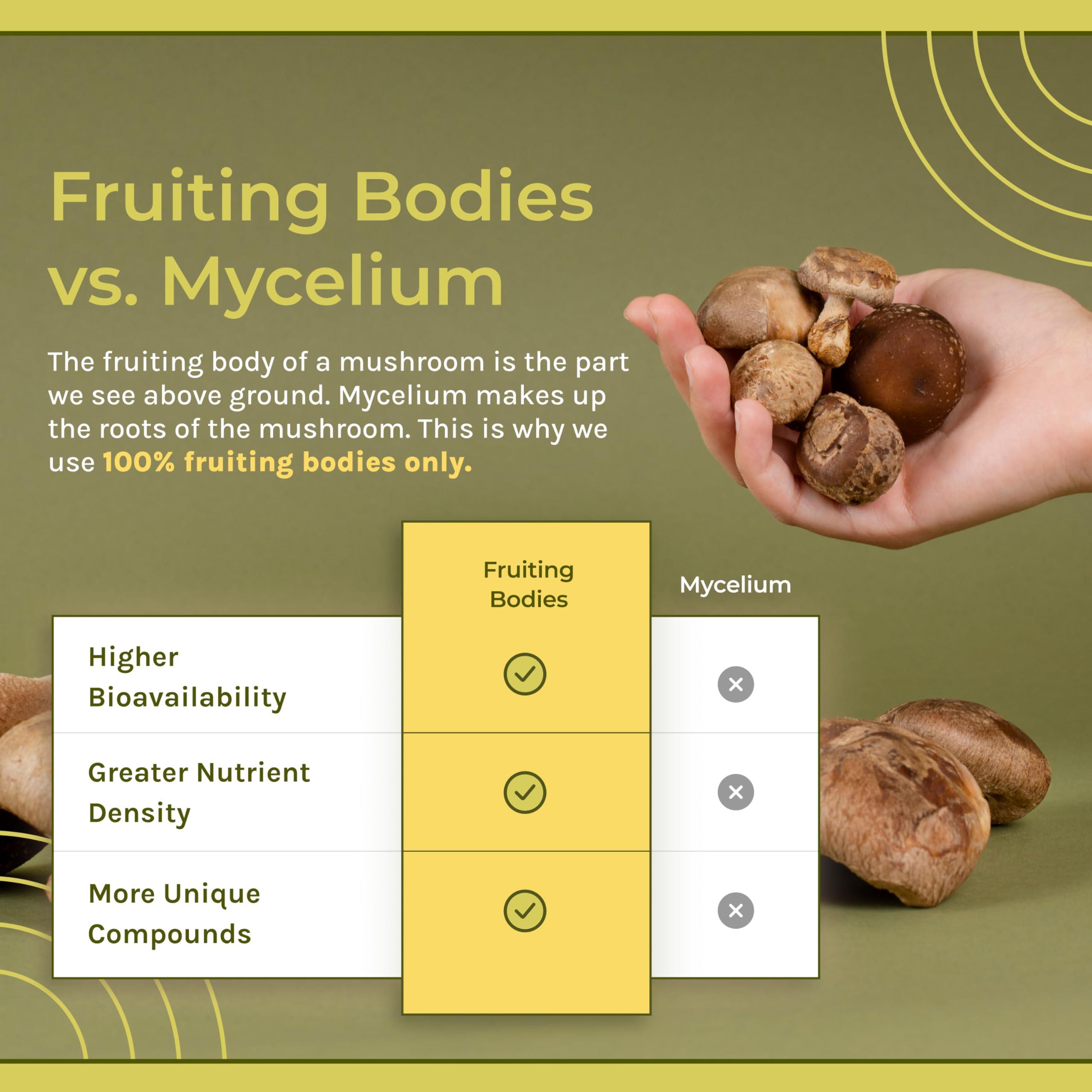 Naturealm Naturealm Reishi Mushroom Liquid Tincture Supplement  Promotes Calmness, Immune Support & Sleep Aid, Vegan, Non-GMO  Organic Fruiting Bodies, 1 Month Supply