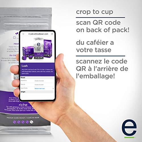 Ethical Bean Coffee Lush Ethical Bean Coffee: Medium Dark Roast Whole Bean Coffee - USDA Certified Organic Coffee, Fair Trade Certified - 2 lb Bag (908 g)