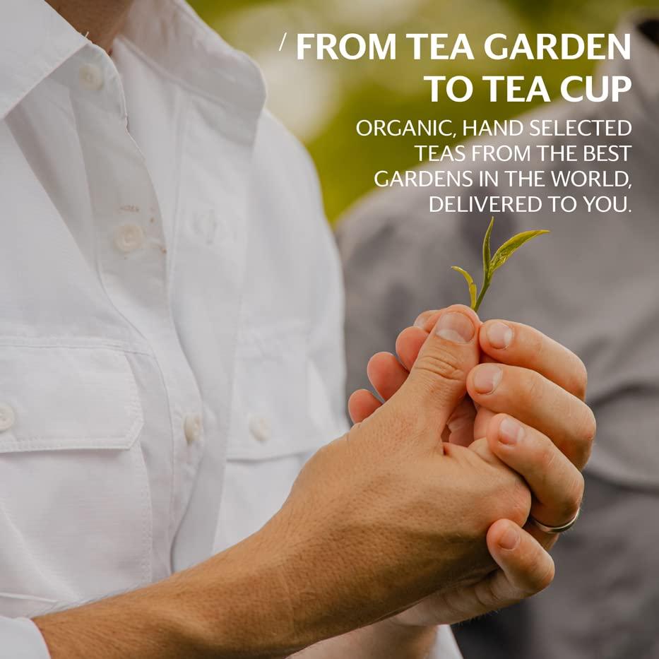 Grace Farms Grace Farms ROOIBOS CHAI ORGANIC ICED TEA (Twelve 1qt. Brew Bags, 3 Gallons) | Refreshing and Spiced, Naturally Sweet Sugar-Free | Easy Cold Brew