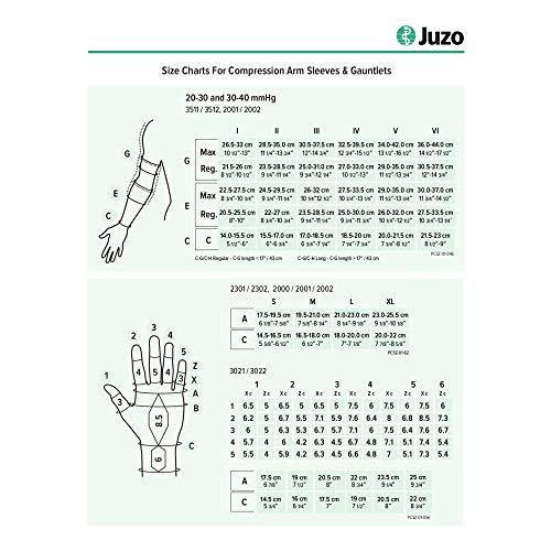 Juzo Juzo 15-20 mmHg Soft Seamless Gauntlet, Left Black, S