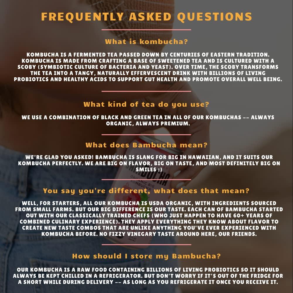 Bambucha Kombucha Bambucha Kombucha Variety 12 Pack Case | Chef Crafted Flavors, 100% Raw Kombucha Live Cultured Tea Drink | Organic, Vegan, Gluten Free, Non GMO, Probiotic (12 Fl Oz Cans)