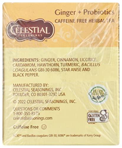 Celestial Seasonings Celestial Seasonings Ginger & Probiotics Herbal Tea, 20 CT