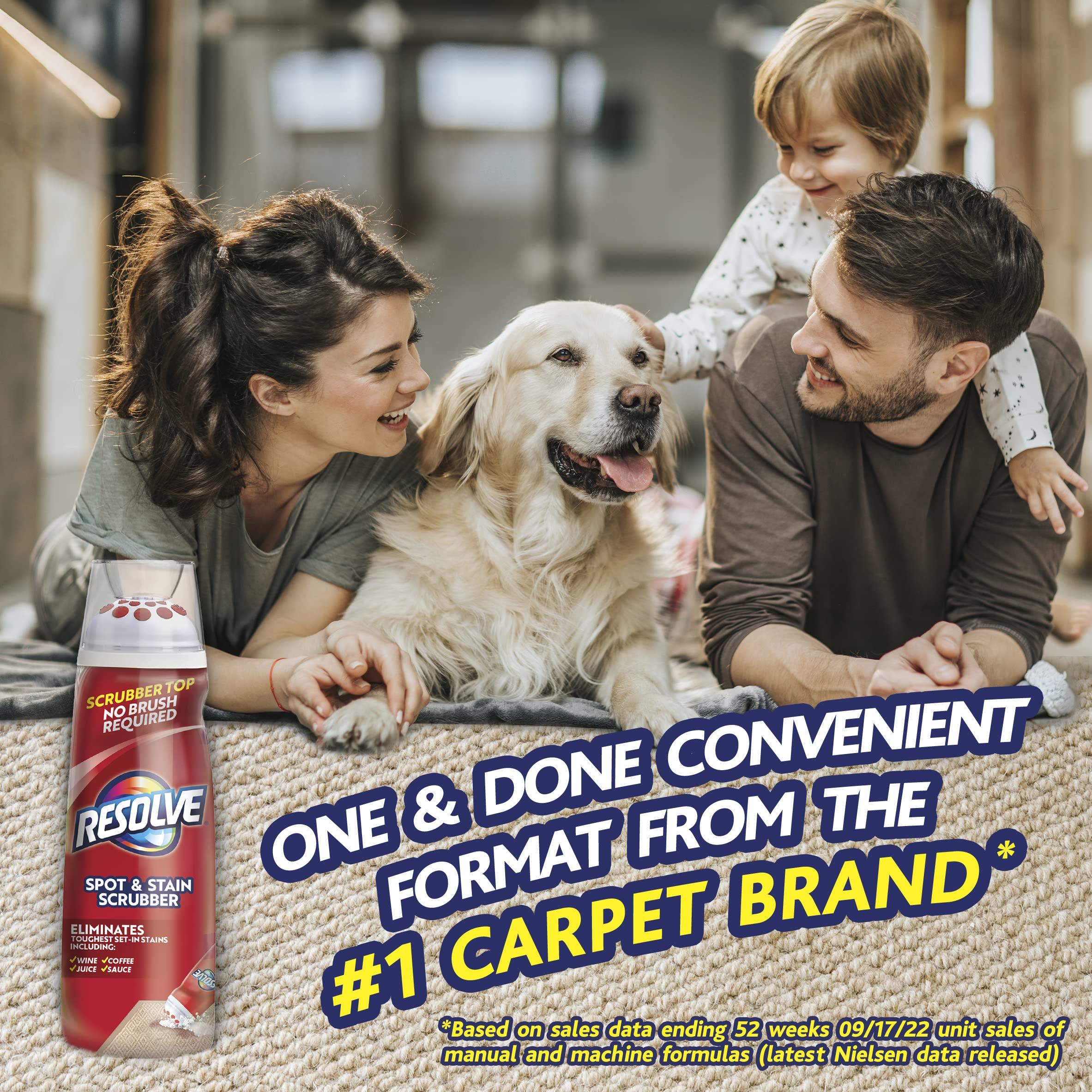 Resolve Resolve Carpet Spot & Stain Scrubber 6.7 oz.