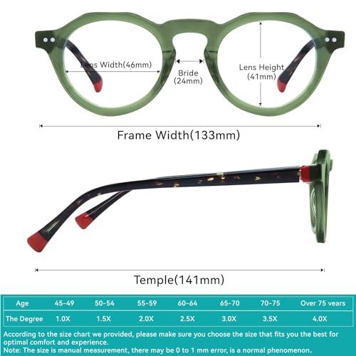 FYTOO FYTOO Stylish Round Glasses Blue Light Blocking Reading Glasses for Women Men Green Lightweight Readers 2.5x with Spring Hinge Anti Glare/Eye Strain Warner FT1358