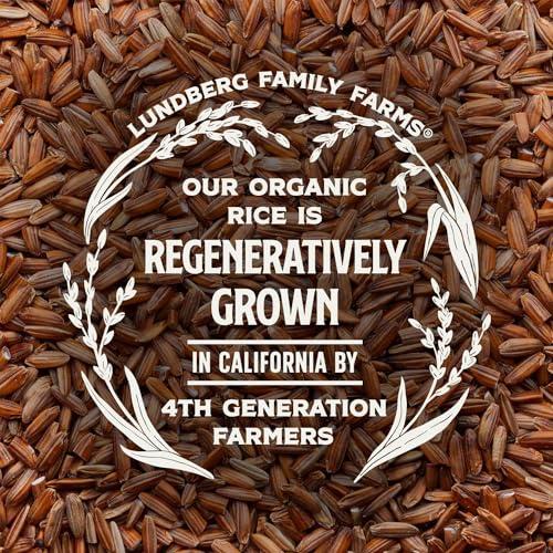 Lundberg Lundberg Organic Red Jasmine Rice, Long Grain Red Rice - Non-Sticky, Fluffy Aromatic Rice, Organically Grown in California, Pantry Staples, 16 Oz