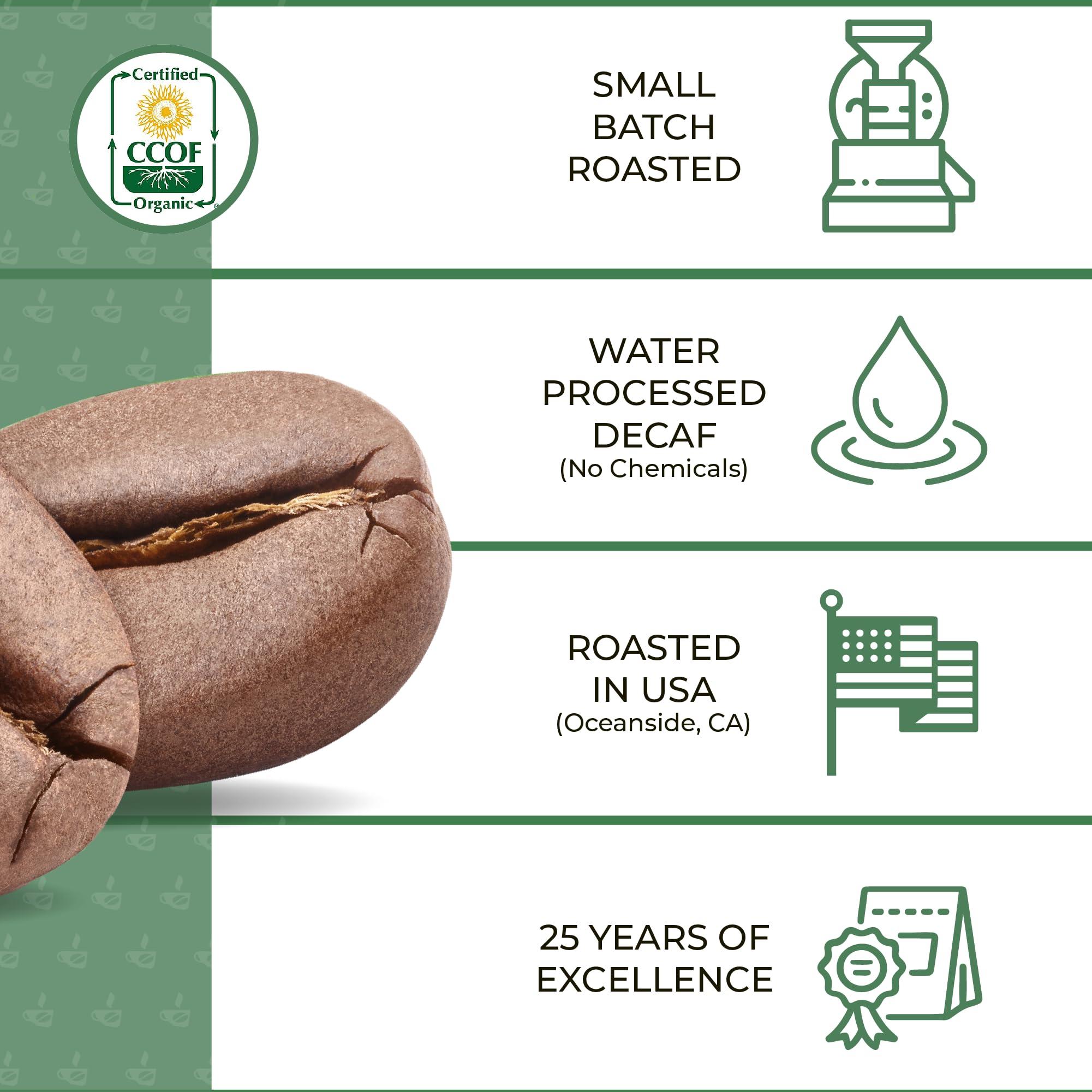 The Bean Coffee Company The Bean Organic Coffee Company Pumpkin Spice, Medium Roast, Ground Coffee, 16-Ounce Bag, Caf molido tostado orgnico