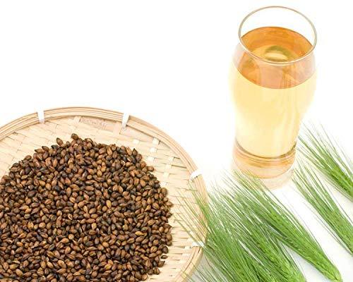 HAKUBAKU THE KOKUMOTSU COMPANY Hakubaku Japanese Barley tea (Mugicha), 16 bags with sprouted barley (Bakuga), No Caffeine, No calories. Great Japanese tea for summer.