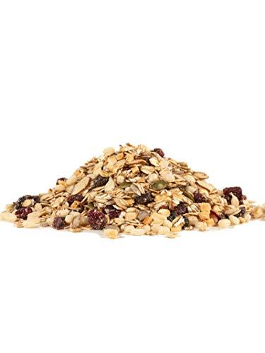 Bob's Red Mill Bob's Red Mill Gluten Free Muesli Cereal, 16-ounce (Pack of 4)