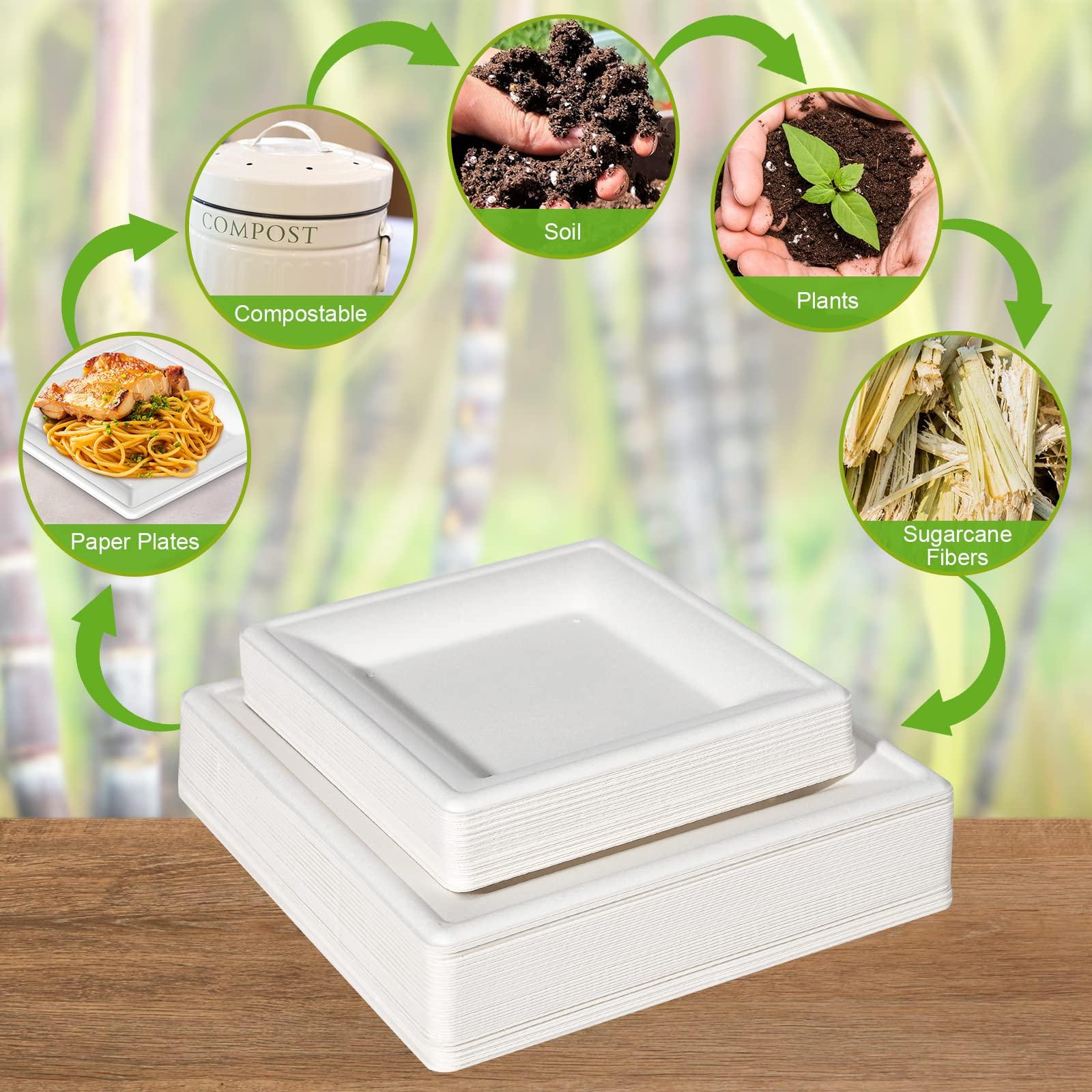 EcoAvance EcoAvance Square Paper Plates, 6 inch Paper Plates 100 Pack, Eco Friendly Compostable Dessert Plates, Small Disposable Plates for Party Wedding, White Paper Plates Sturdy