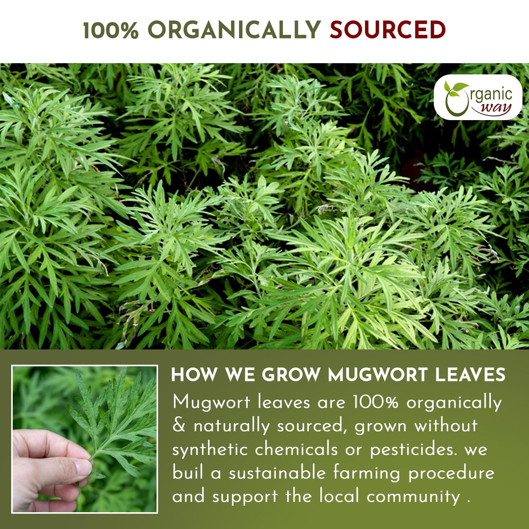 Organic Way Organic Way Mugwort Herb Tea Cut & Sifted (Artemisia Vulgaris) Herbal Tea | Kosher & USDA Certified | Vegan, Non-GMO & Gluten Free | Raw from Albania (2 Ounce (Pack of 1))