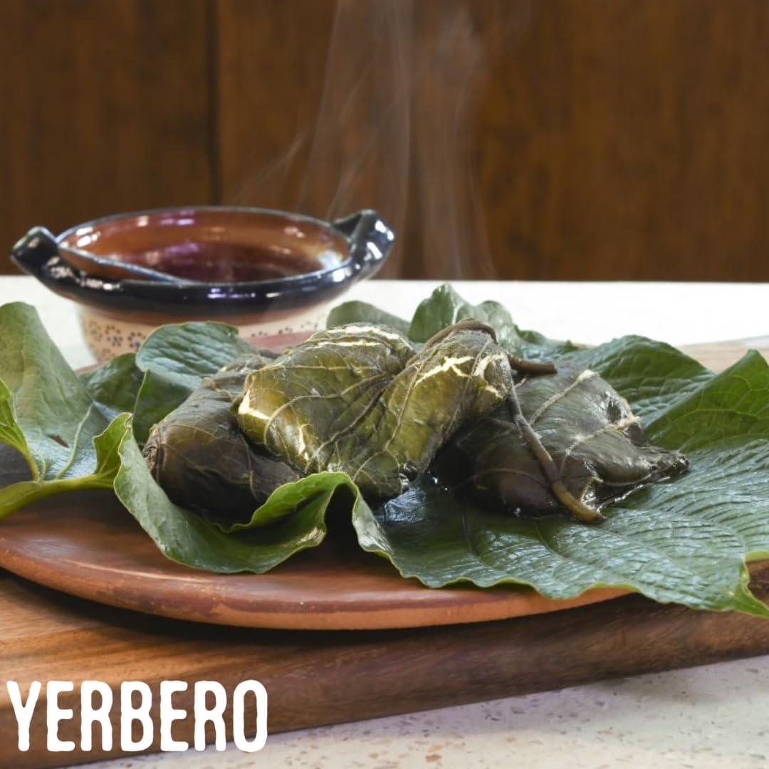 YERBERO Yerbero - Whole Premium Dried Hierba Santa Leaves 1.05 oz (30g) (25+ Leaves Per Bag) | Hoja De Hierba Santa Entera |100% Natural | Mexican Pepper Leaf Acuyo From Mexico | For use in Mexican Dishes, Tamales, Pozole, Carne Asada, Moles.