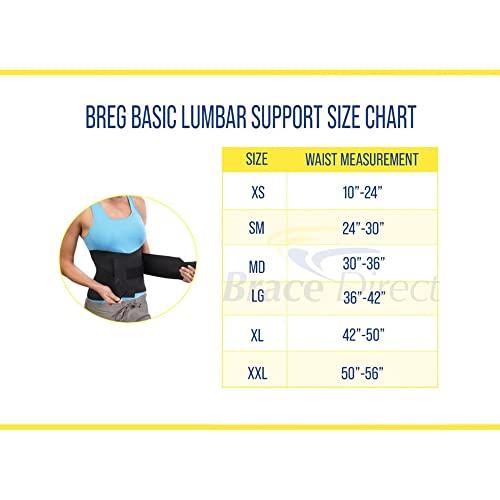 Breg Breg Basic Lumbar Support (Large)