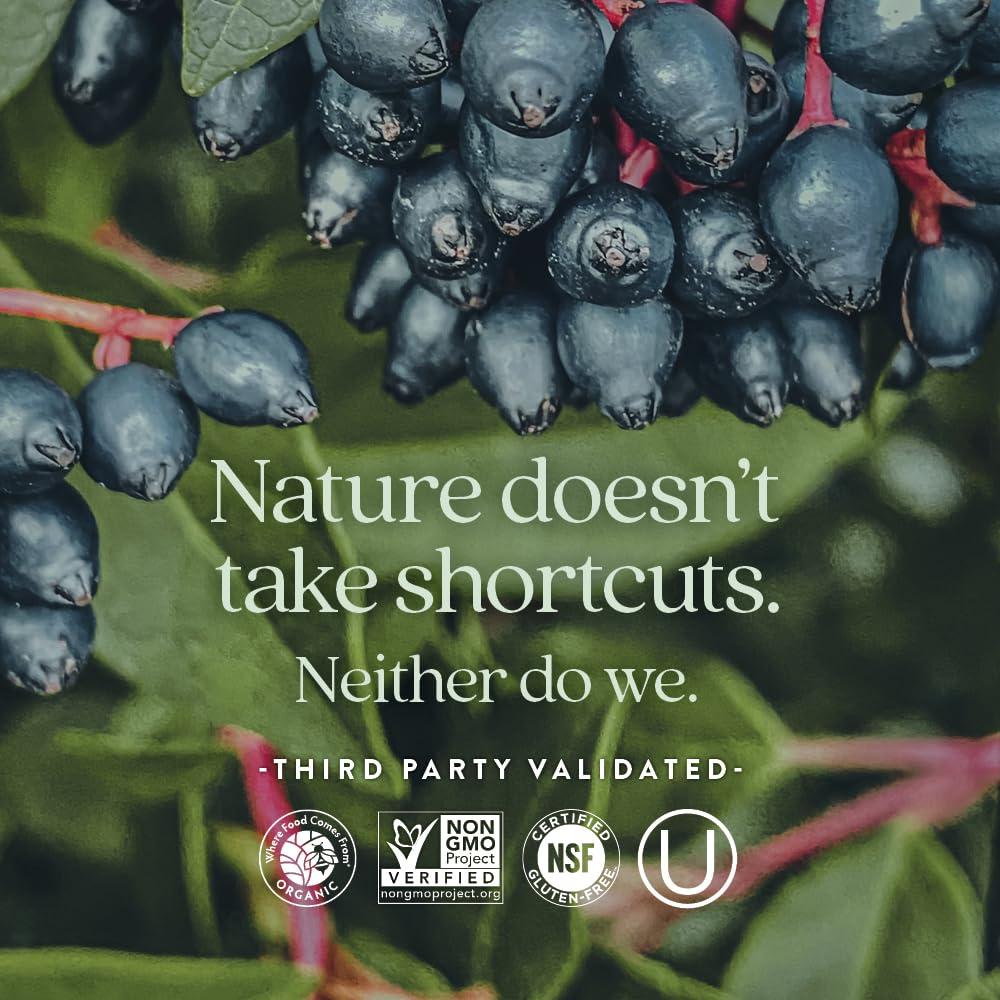 New Chapter New Chapter Zinc Supplement, Fermented Zinc Complex, ONE Daily for Immune Support + Skin Health, Mineral-Balancing Formula Rich in Copper, Easy to Swallow & Digest, 30 Count (1 Month Supply)