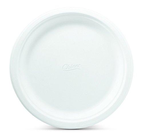 Chinet Chinet 10 3/8 Dinner Plate 100-count Box