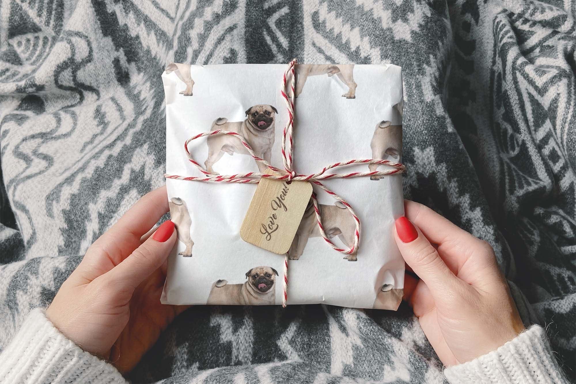 Foot Defender Foot Defender Protective Boot for Foot Wounds Designed to Offload Pressure and Help Diabetic Foot Ulcers Heal Faster (Medium)