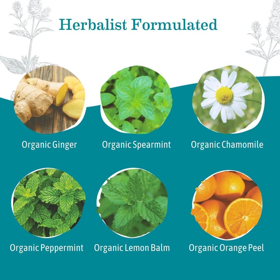 Earth Mama Earth Mama Organic Ginger Nausea Tea | Comforts Occasional Nausea + Morning Sickness, 16 Teabags Per Box (6-Pack)