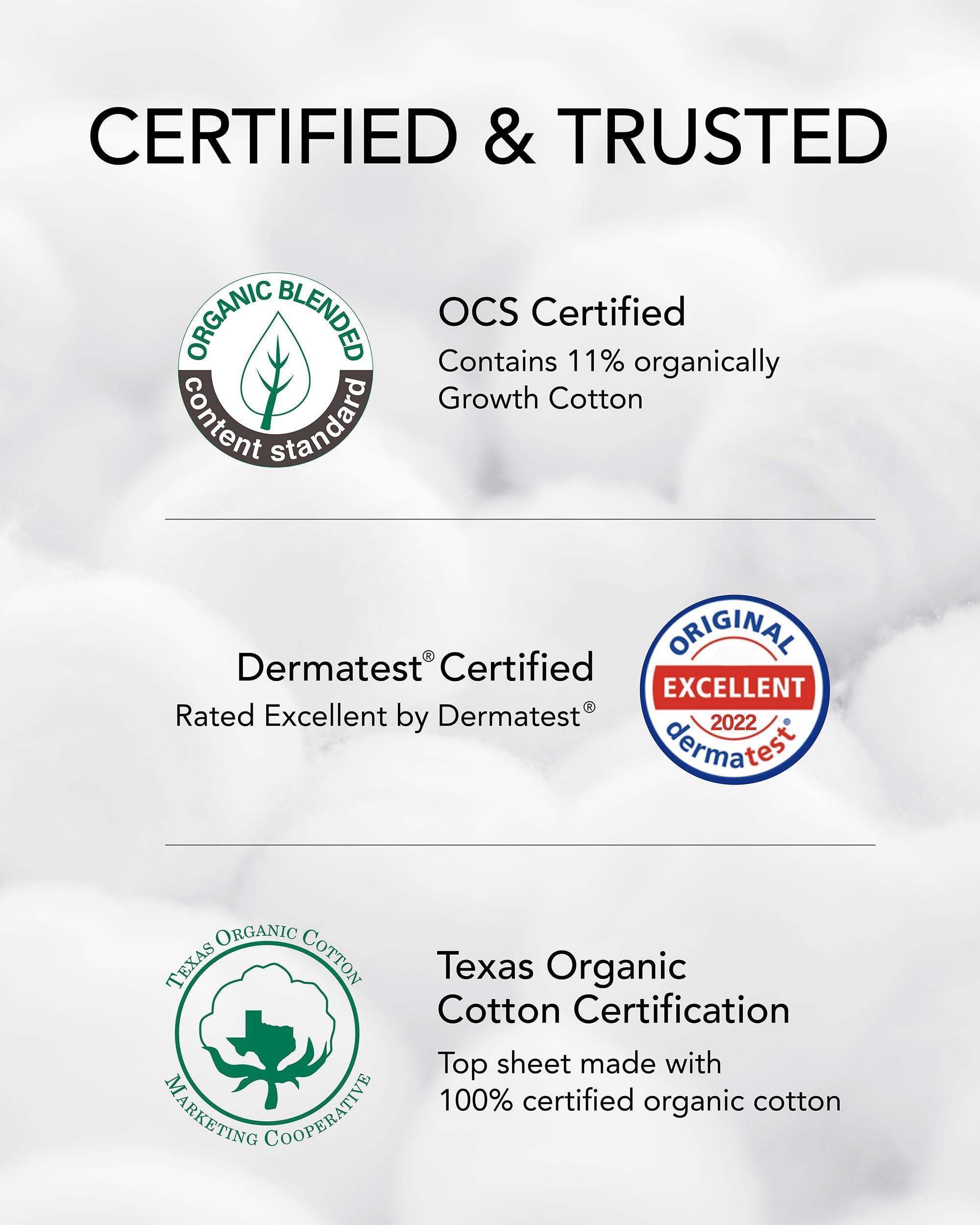 OCBON OCBON Ultra Thin Sanitary Pads Overnight - 100% Organic Texan Cotton Cover with Wings (35cm, 40 Counts)