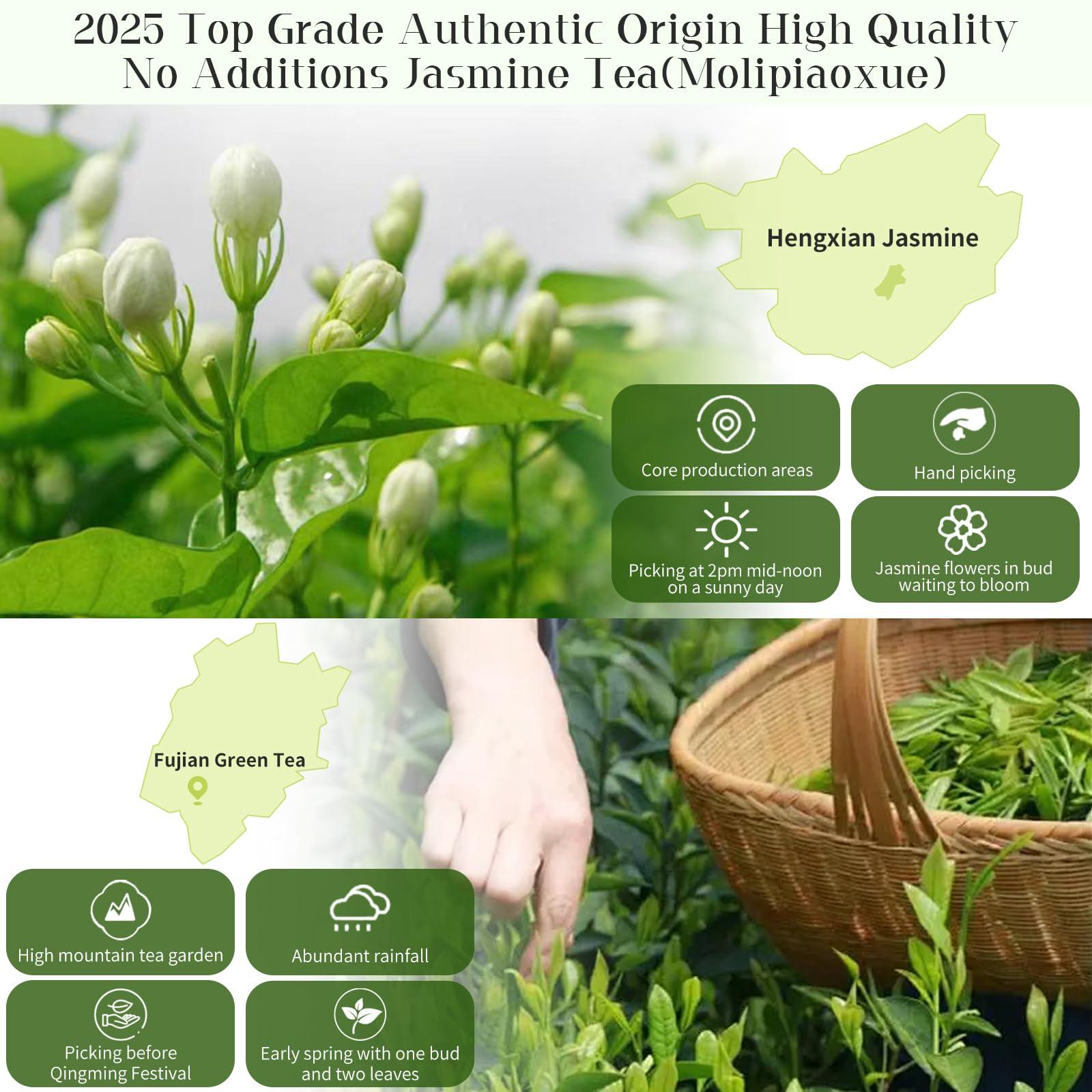 XIXICHA XIXICHA Jasmine Tea Loose Leaf Grade AAA Jasmine Green Tea Chinese Tea Green Tea New Tea Premium Chinese Jasmine Tea 4.23oz/120g