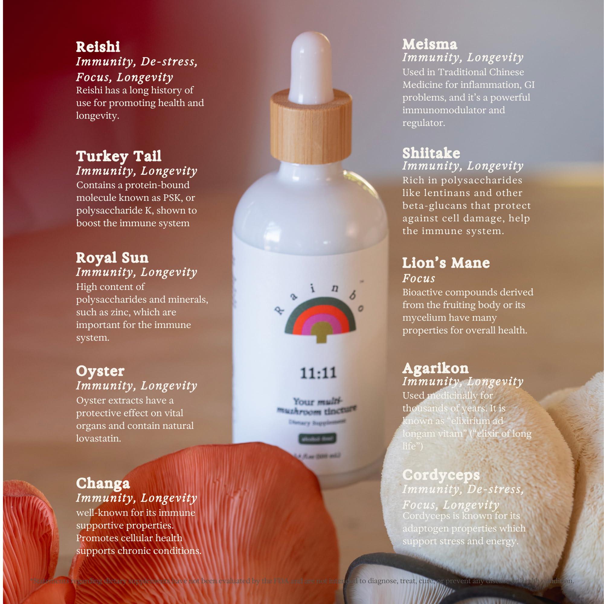 Rainbo Rainbo 11:11 Multi Mushroom Tincture, Dual Extract Mushroom Supplement for Comprehensive Immune Support, Brain Support, Liquid Lion's Mane & Turkey Tail, Vegan, Non GMO, 3.4 fl oz