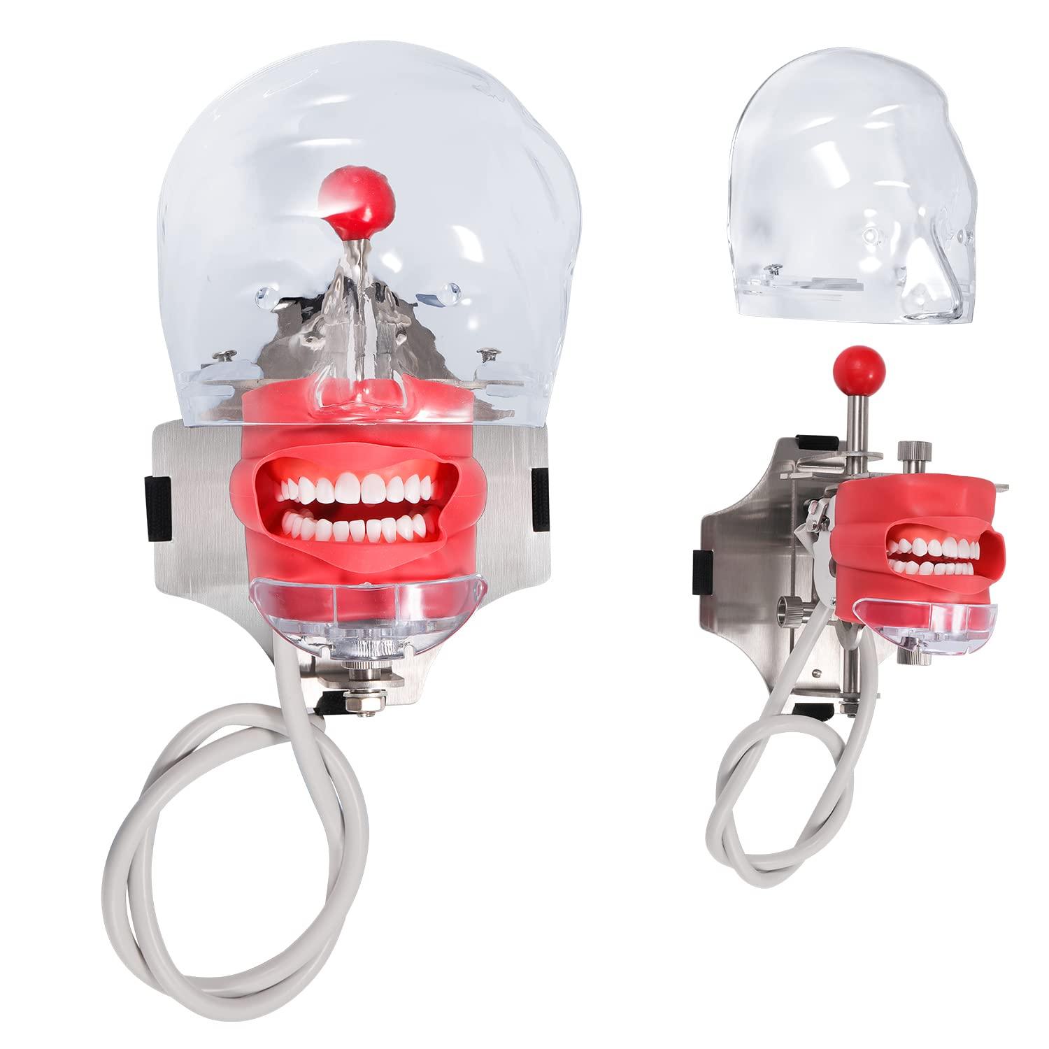 faruijie faruijie Dental Simulator Mannequin Head - with Typodont Teeth Model Dexter Phantom Head Training Manikin with Bench Mount Fixed on Chair for Dental Schools Education Practical Demonstration