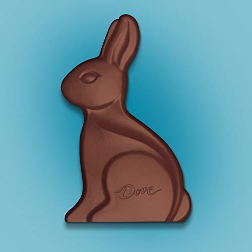 Dove DOVE Easter Bunny Milk Chocolate Candy Gift, 4.5 oz